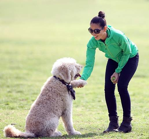 Olivia Munn seen playing with a cute dog she was heard calling   Falcor   at an LA dog park