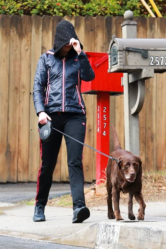 Anne Hathaway braves the rain while walking her dog