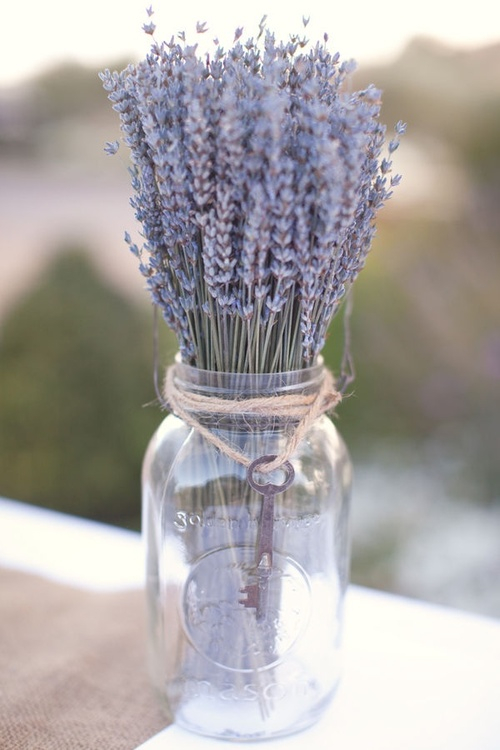 lavender-5.jpg