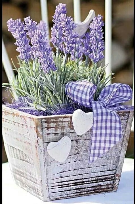 lavender-8.jpg