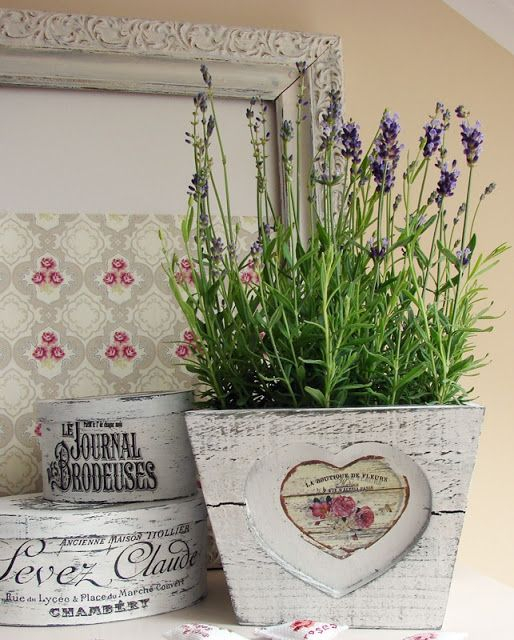lavender-9.jpg
