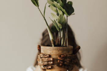 Σκέψου σαν φυτό: 4 ερωτήσεις για να κρατήσεις τα φυτά εσωτερικού χώρου υγιή