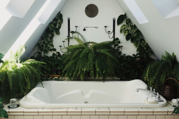 Διακόσμηση μπάνιου: 6 φυτά που θα ομορφύνουν τον χώρο 