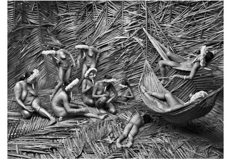 Sebastião Salgado, Genesis, 2013