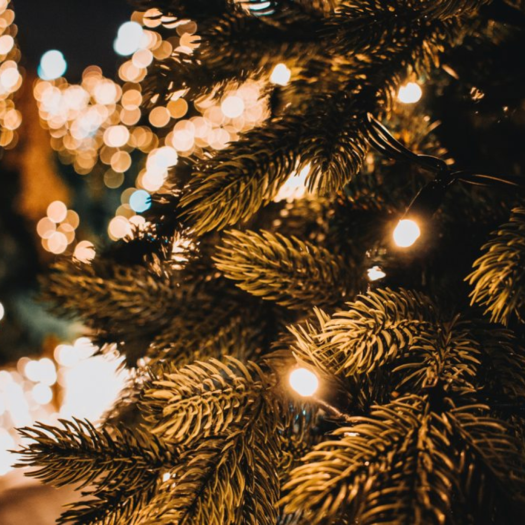 Μήπως βάζετε λάθος τα φωτάκια στο χριστουγεννιάτικο δέντρο; Το viral video που δείχνει τον σωστό τρόπο