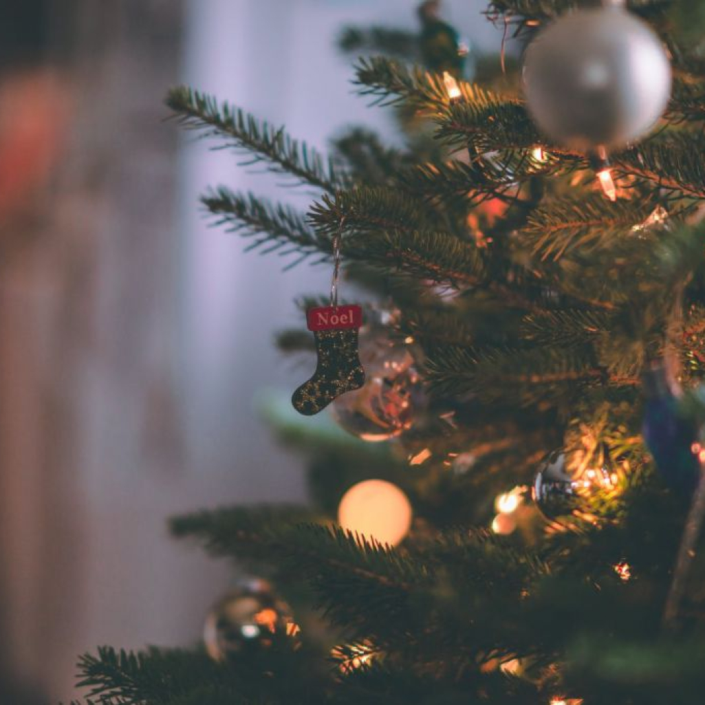 Αληθινά ή τεχνητά χριστουγεννιάτικα δέντρα; Το οικολογικό δίλημμα των γιορτών