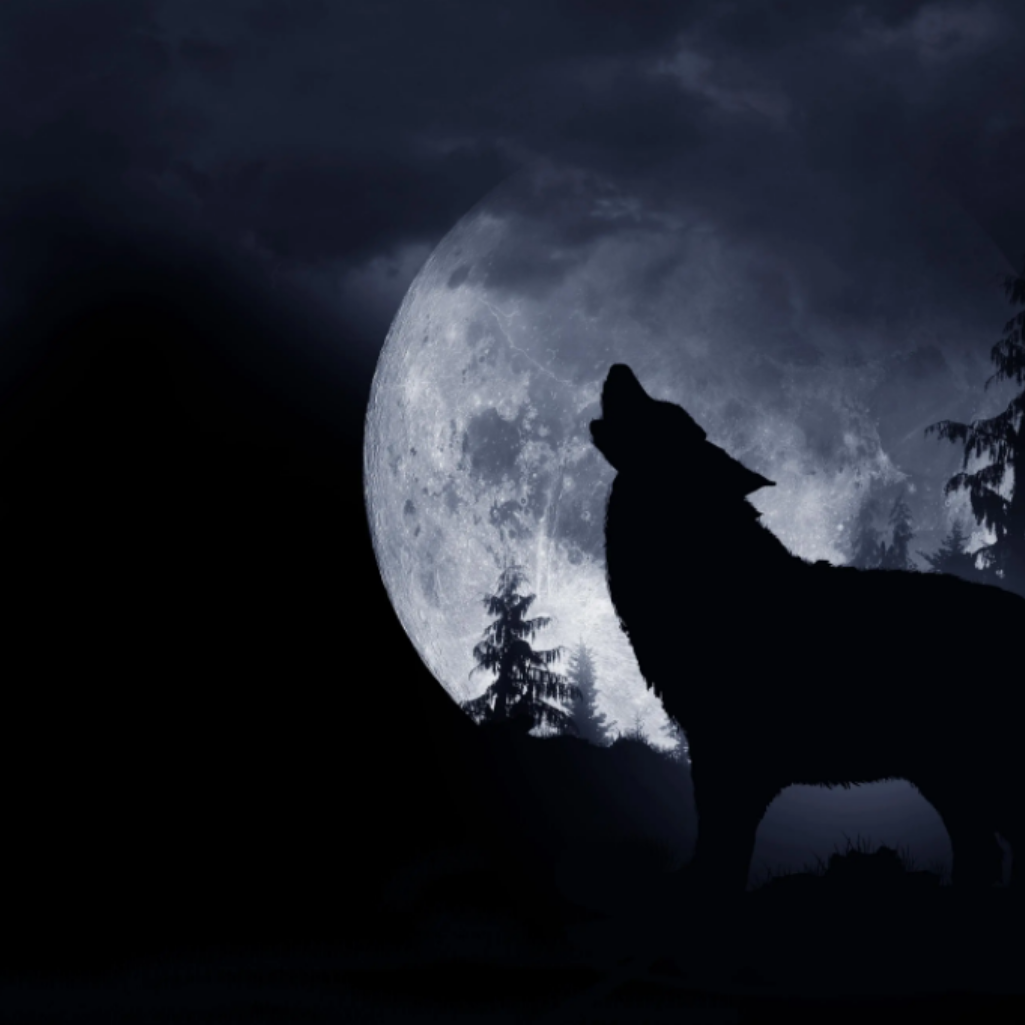 Έρχεται η Πανσέληνος του Λύκου: Τα 4 ζώδια που θα επηρεάσει σημαντικά
