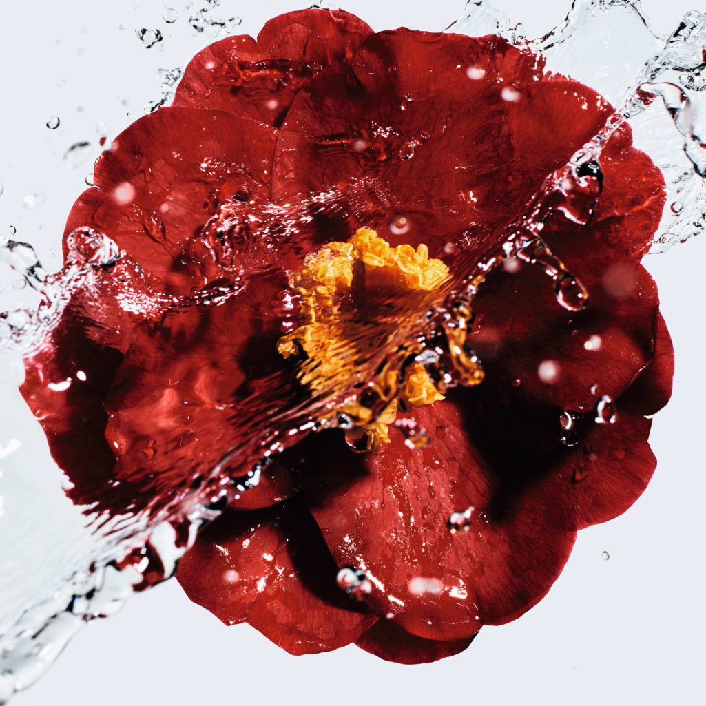 Η Chanel λανσάρει τη N°1 De Chanel: Μια βιώσιμη συλλογή εμπνευσμένη από την κόκκινη καμέλια