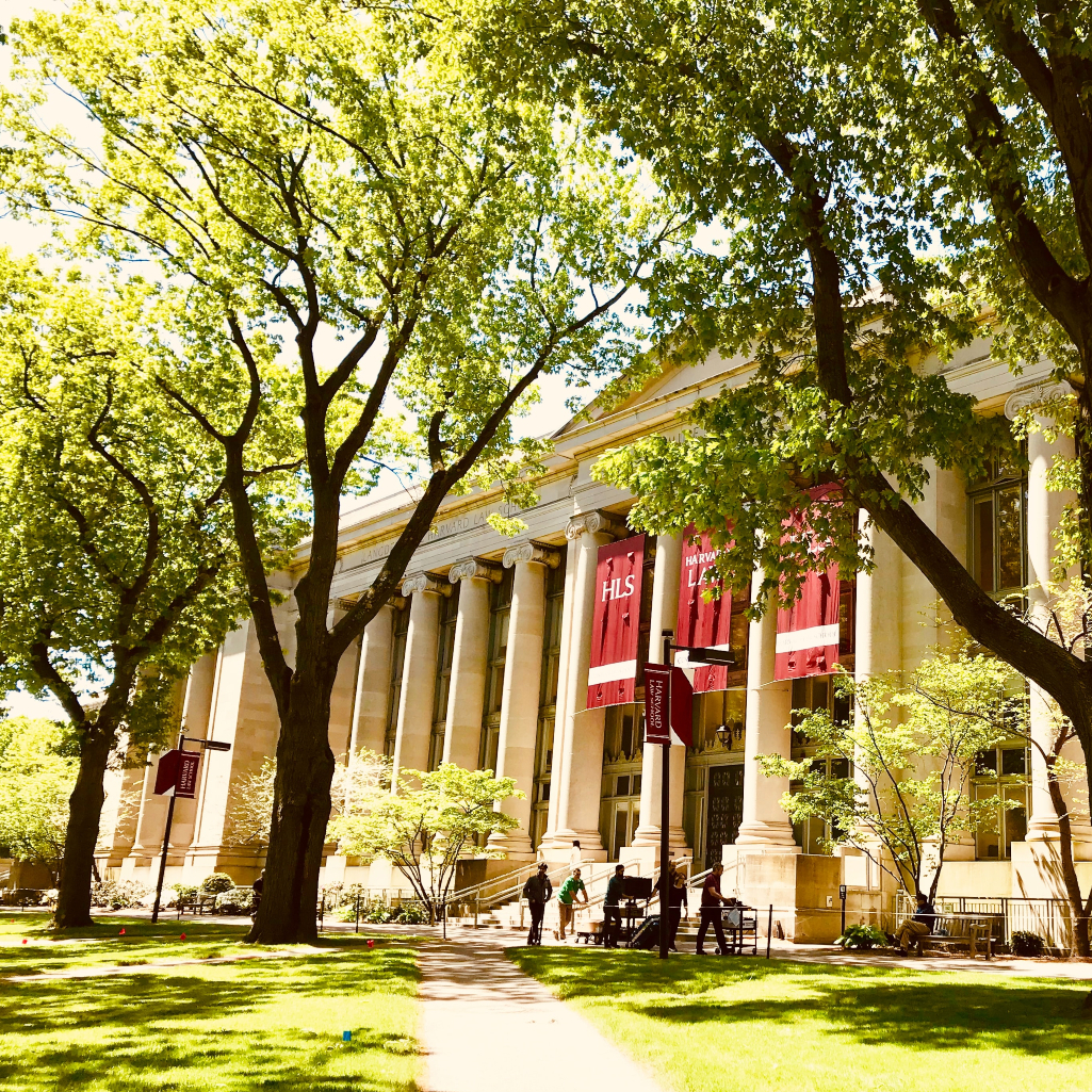 Το Harvard προσφέρει 10 online μαθήματα εντελώς δωρεάν