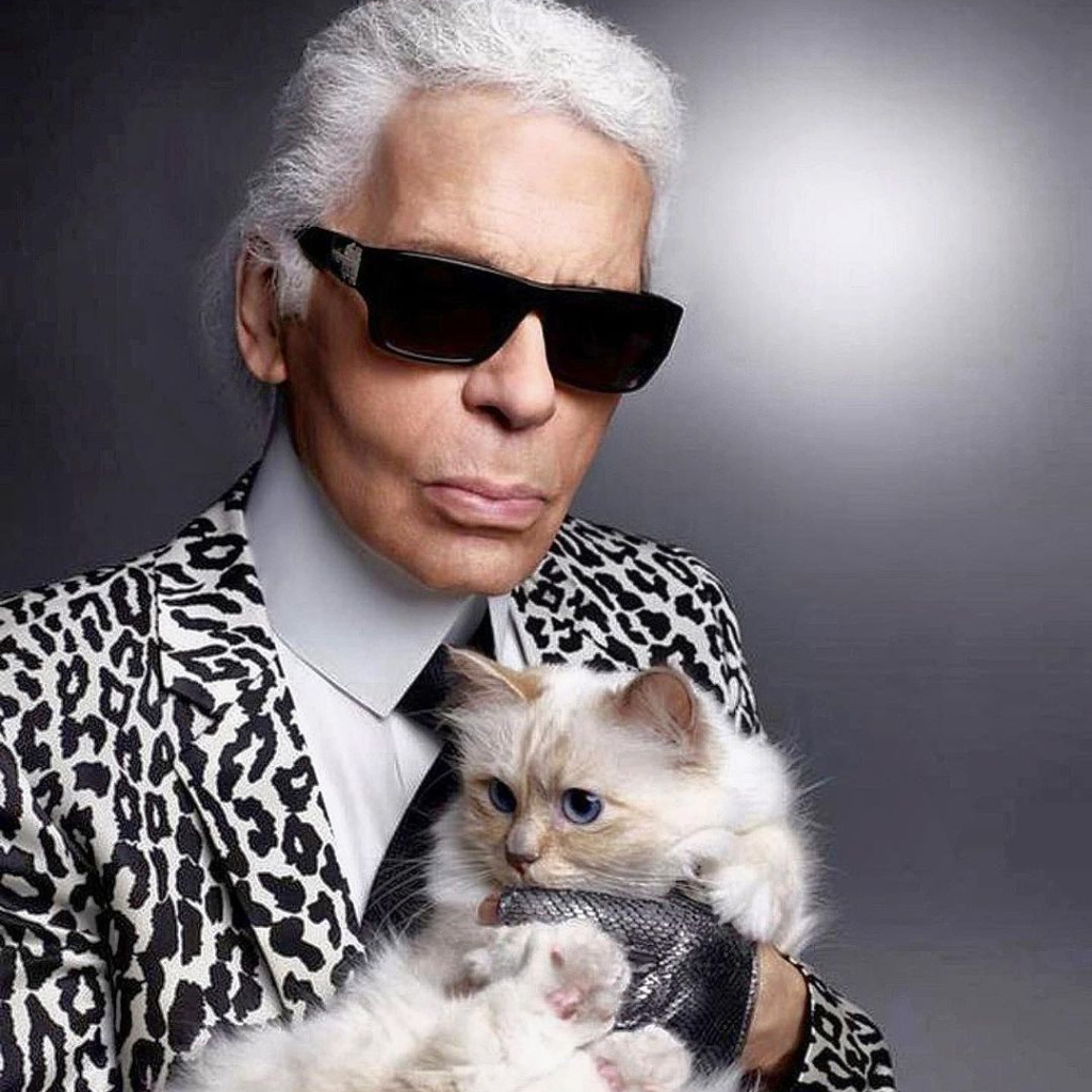 Το ξεχωριστό party της Choupette, της αγαπημένης γάτας του Karl Lagerfeld