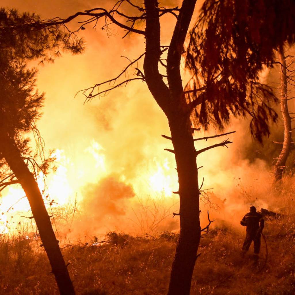 Φωτιά στη Θάσο: Ενισχύονται ακόμη περισσότερο οι πυροσβεστικές δυνάμεις για την κατάσβεσή της