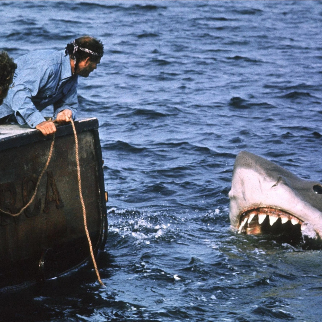 Ο Steven Spielberg μετανιώνει για το "Jaws", επειδή «η ταινία φταίει για τον αφανισμό του λευκού καρχαρία»