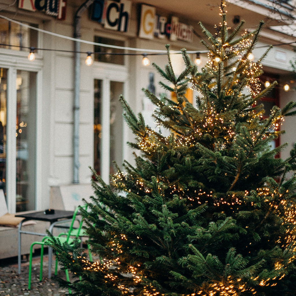 7 τρόποι να επαναχρησιμοποιήσεις το αληθινό χριστουγεννιάτικο δέντρο σου
