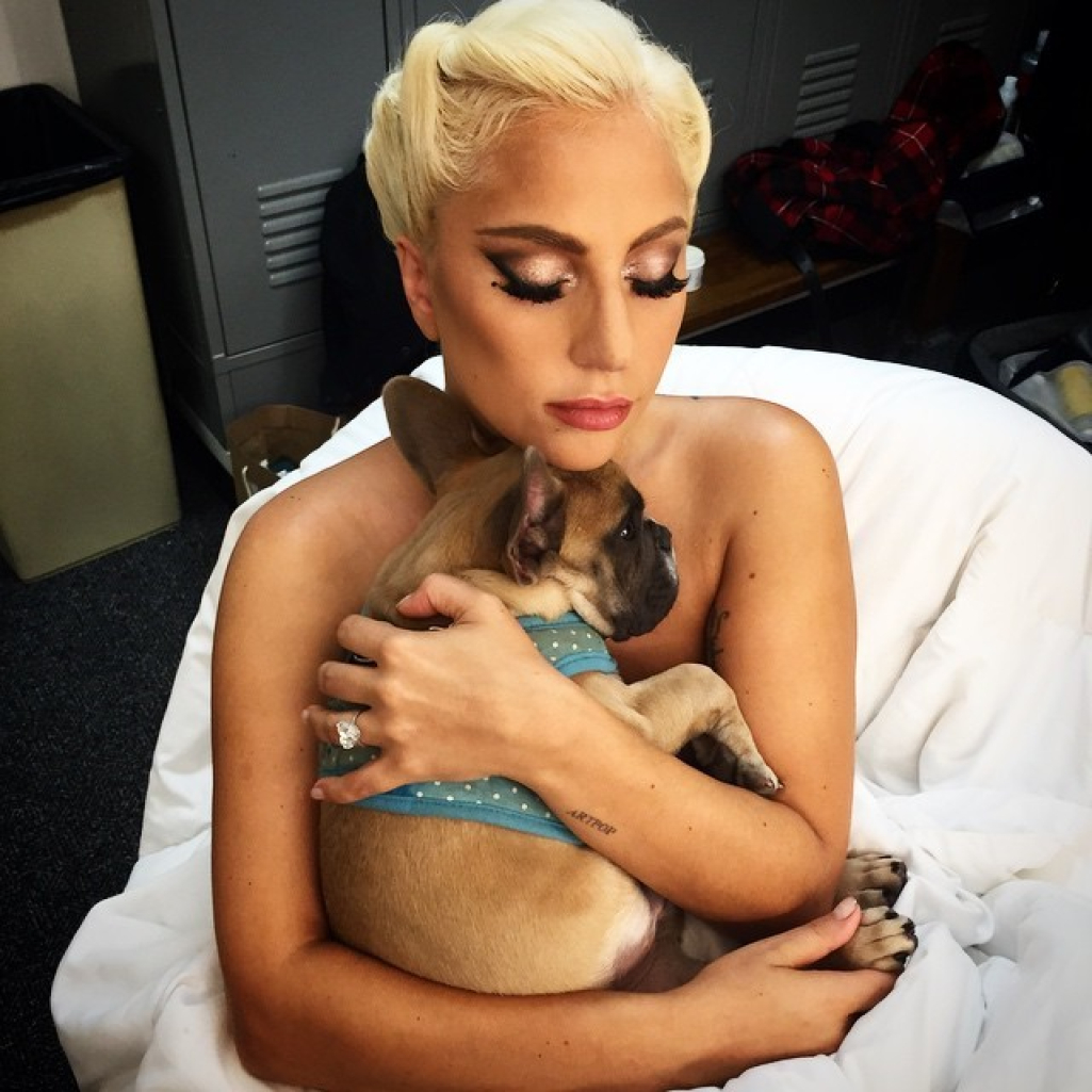 Η Lady Gaga δέχτηκε μήνυση από συνεργό στην υπόθεση κλοπής των σκύλων της- Της ζητά 1,5 εκατ. δολάρια
