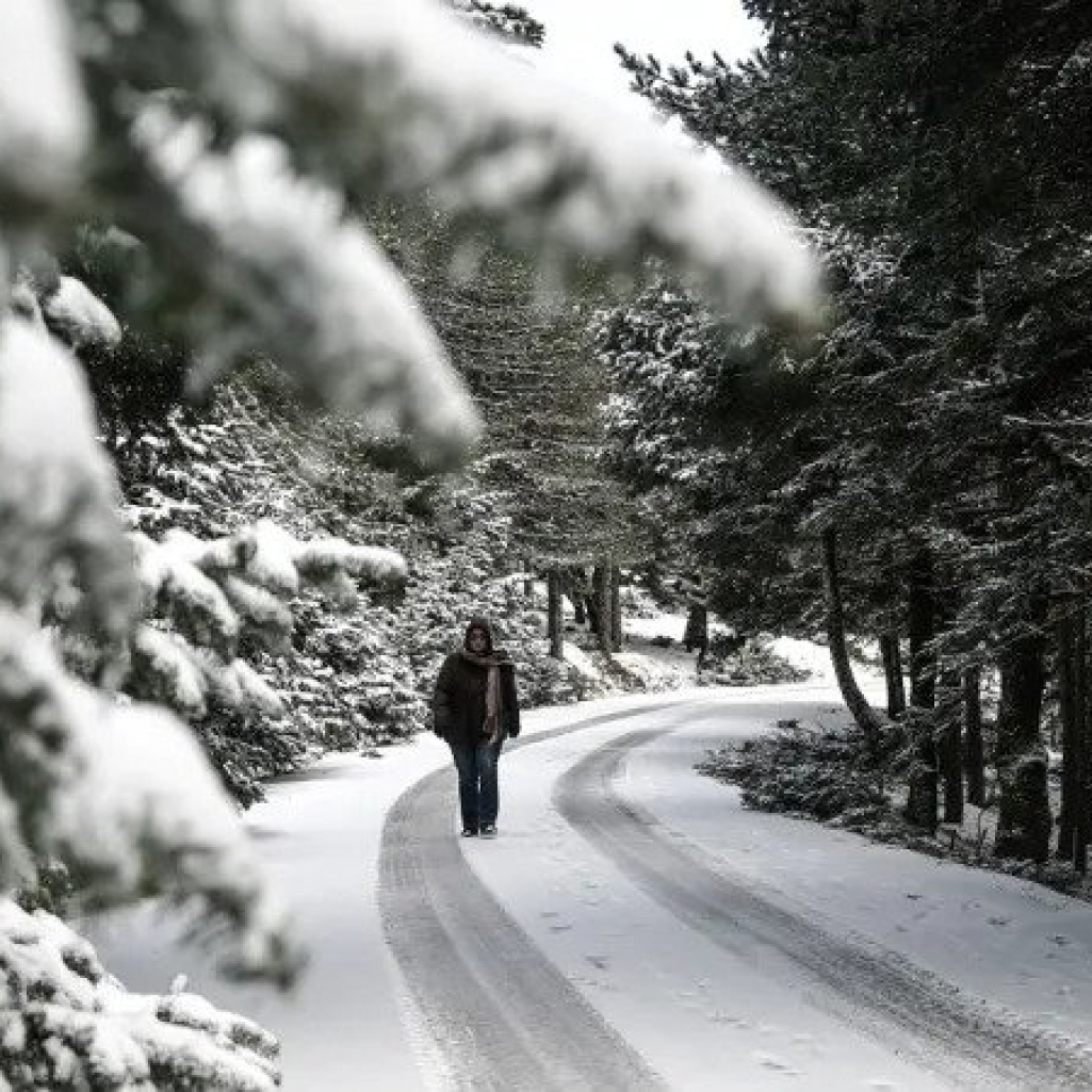 Κακοκαιρία Μπάρμπαρα: Πτώση της θερμοκρασίας έως 12 βαθμούς- Χιόνια και μέσα στην Αθήνα