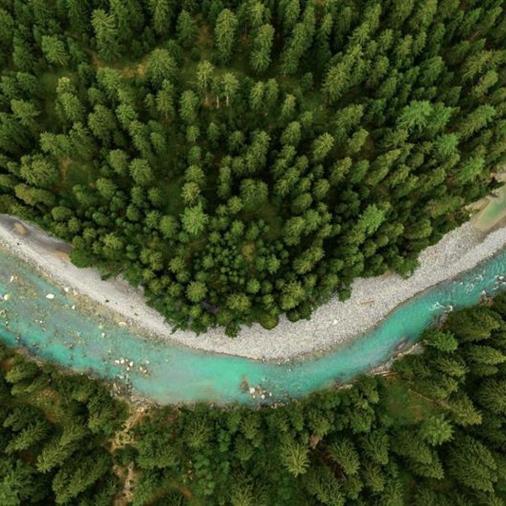 L’Oréal Fund For Nature Regeneration: Tρεις νέες επενδύσεις για τη διατήρηση της βιοποικιλότητας