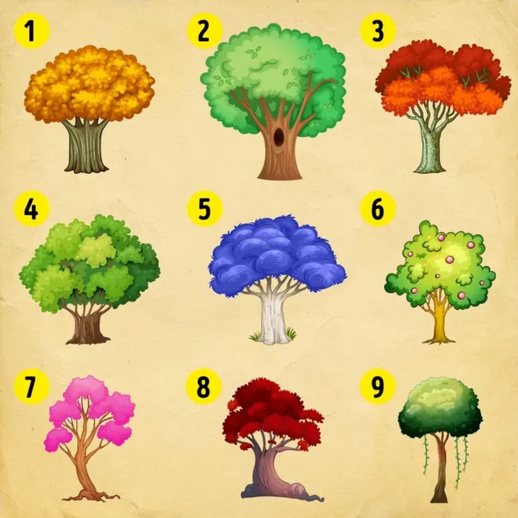 Ποιο δέντρο διαλέγεις; Aπάντησε και μάθε τις αλλαγές που θέλεις να κάνεις στη ζωή σου