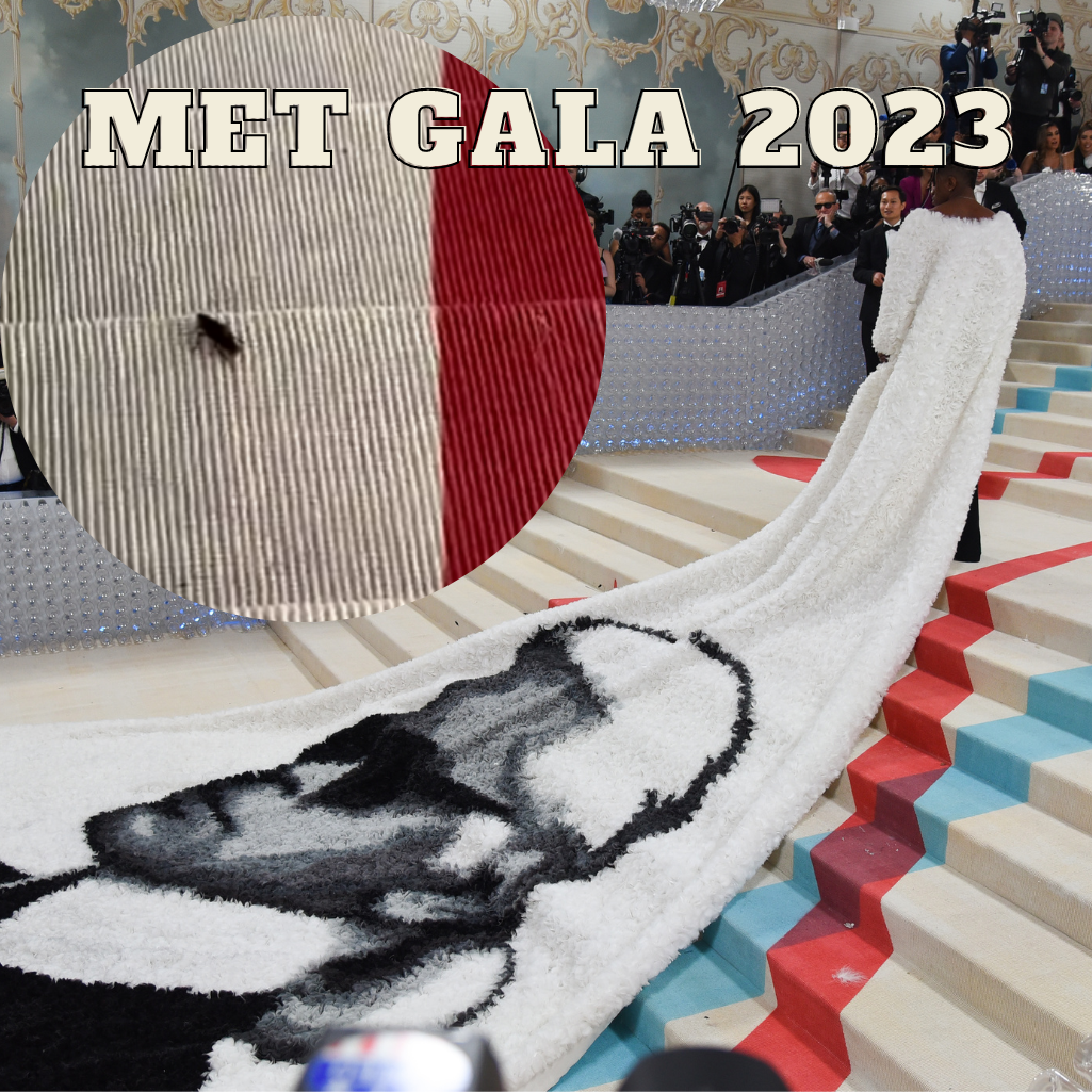 Met Gala 2023: Ωραία τα celeb looks, αλλά σταρ της βραδιάς ήταν μια κατσαρίδα