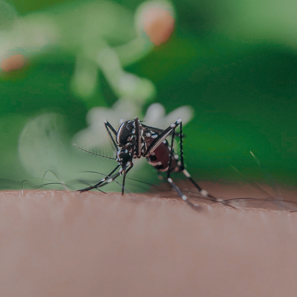 Πότε μας ανησυχεί το τσίμπημα κουνουπιού και πέντε τρόποι να αντιμετωπίσουμε το ενοχλητικό τσίμπημα 