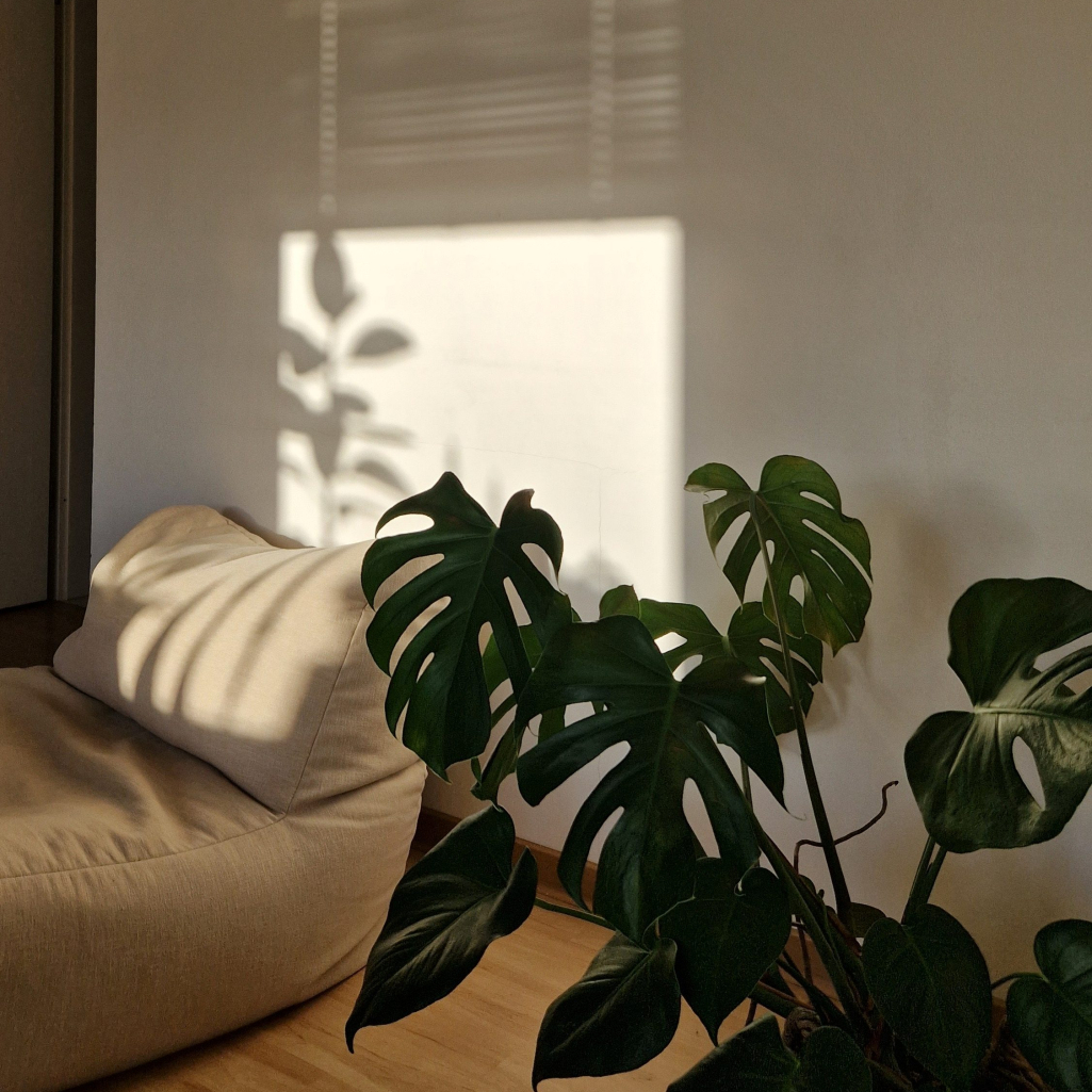 5 χρώματα ιδανικά για μικρά υπνοδωμάτια- Οι αποχρώσεις που δημιουργούν απόλυτη χαλάρωση
