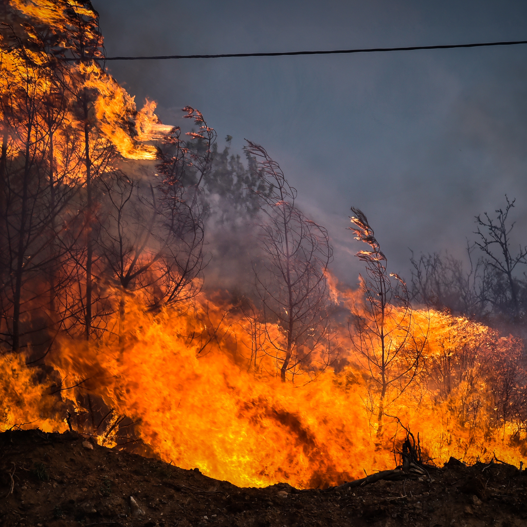 Φωτιά στη Μαγνησία: Μαίνεται η πυρκαγιά με τους 2 νεκρούς - Νέες εκκενώσεις οικισμών