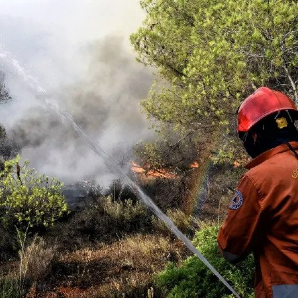 Φωτιά τώρα: Πυρκαγιά σε δάσος στο Δαμάσι Τυρνάβου - Μέτωπο και στην Εύβοια