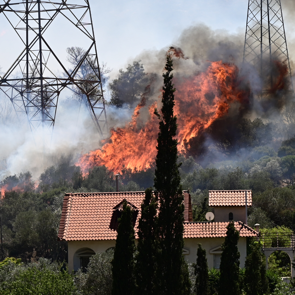 Φωτιά σε Κουβαρά/Λαγονήσι: Πώς να βοηθήσετε τα ζώα