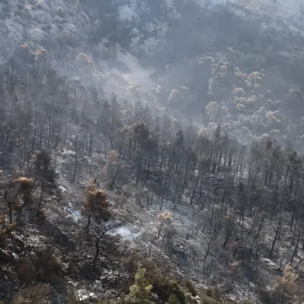 Στάχτη πάνω από 600.000 στρέμματα στην Αττική μέσα σε 7 χρόνια