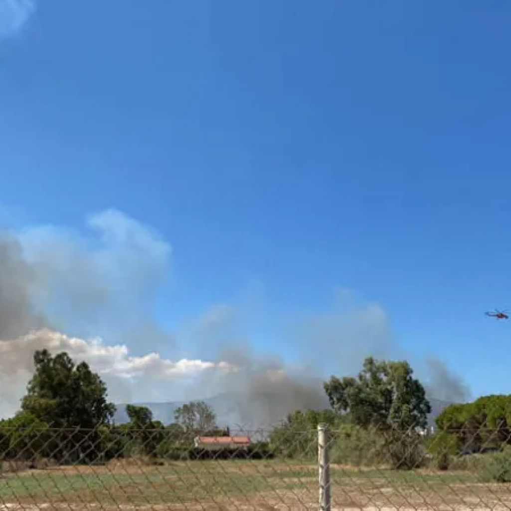 Φωτιά στον Μαραθώνα: Μήνυμα του 112 για εκκένωση δύο περιοχών