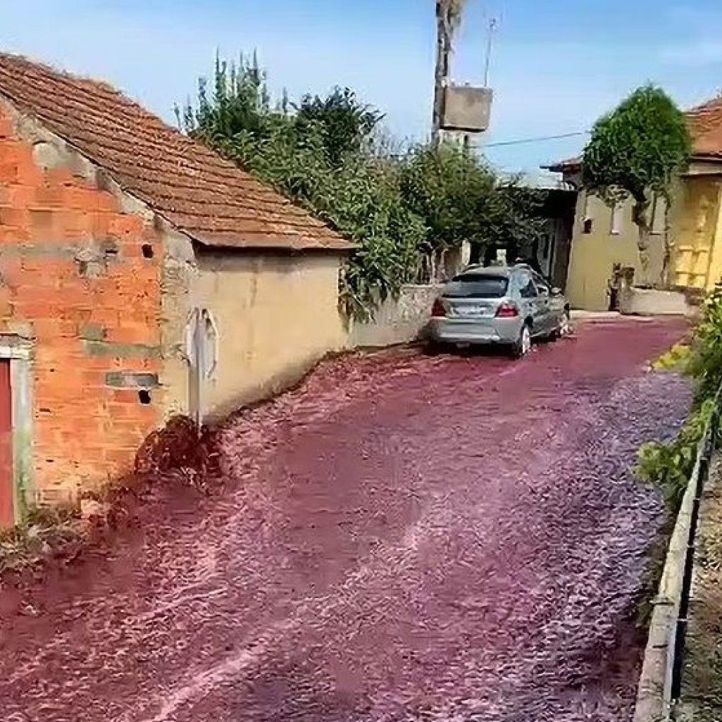Ένα χωριό στην Πορτογαλία πλημμύρισε με δύο εκατομμύρια λίτρα κρασιού