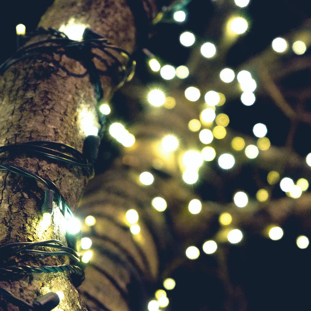 Γιατί στολίζουμε καραβάκι - Ποιος στόλισε το πρώτο χριστουγεννιάτικο δέντρο στην Ελλάδα