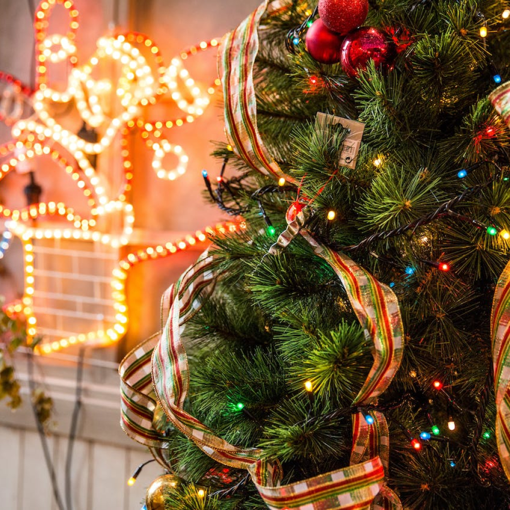 Η σωστή μέρα για να στολίσεις το χριστουγεννιάτικο δέντρο - Δεν είναι η 1η Δεκεμβρίου