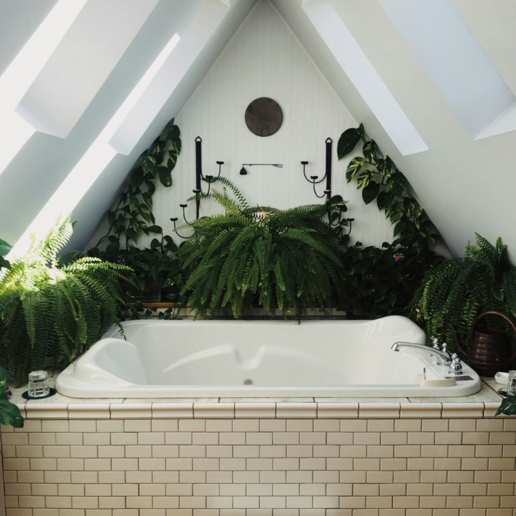 Διακόσμηση μπάνιου: 6 φυτά που θα ομορφύνουν τον χώρο 