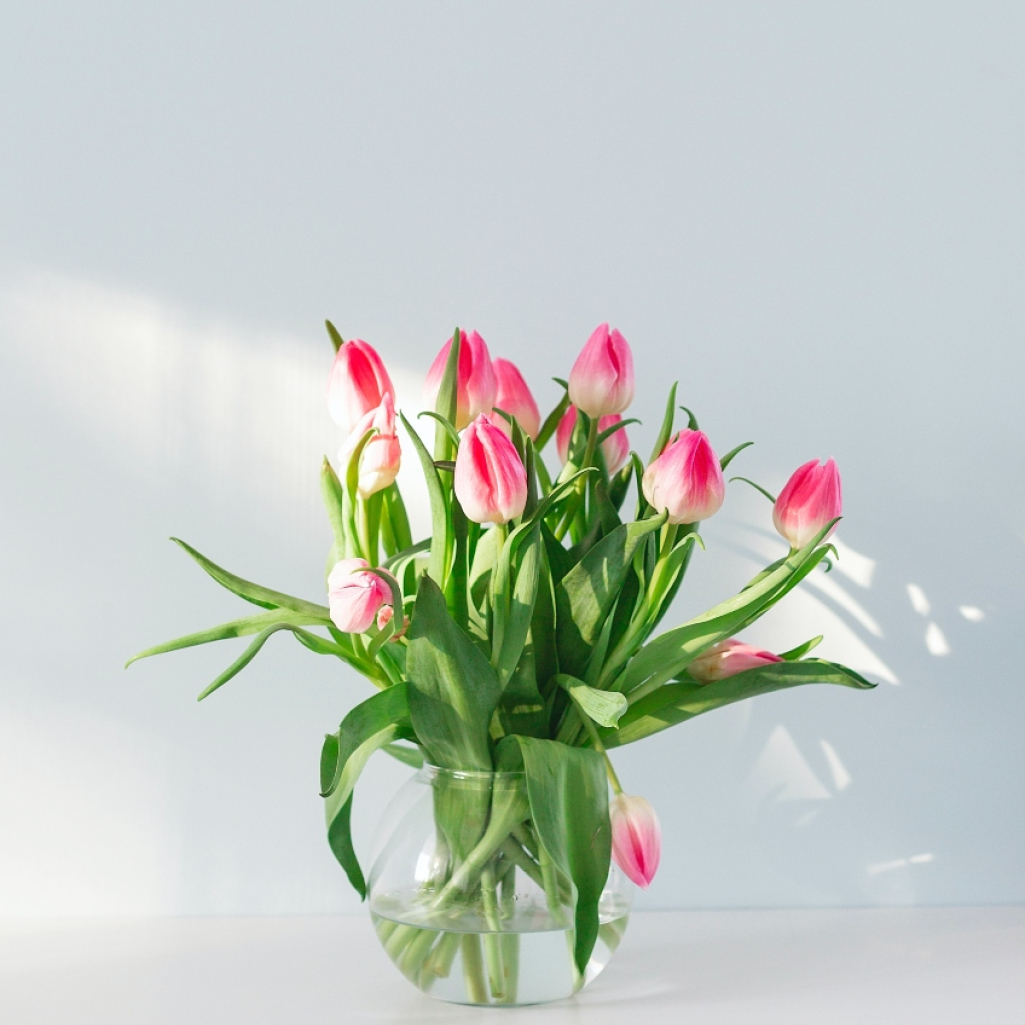Ημέρα Αγίου Βαλεντίνου: 5 λουλούδια για να προσφέρεις στο ταίρι σου 