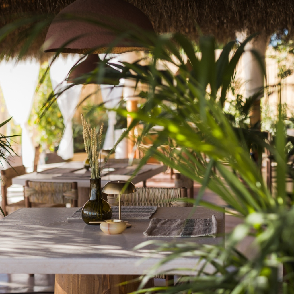 The Lemon Tree and Co. Athens Riviera: Η Upscale Seaside Dining εμπειρία στην παραλία της Βούλας
