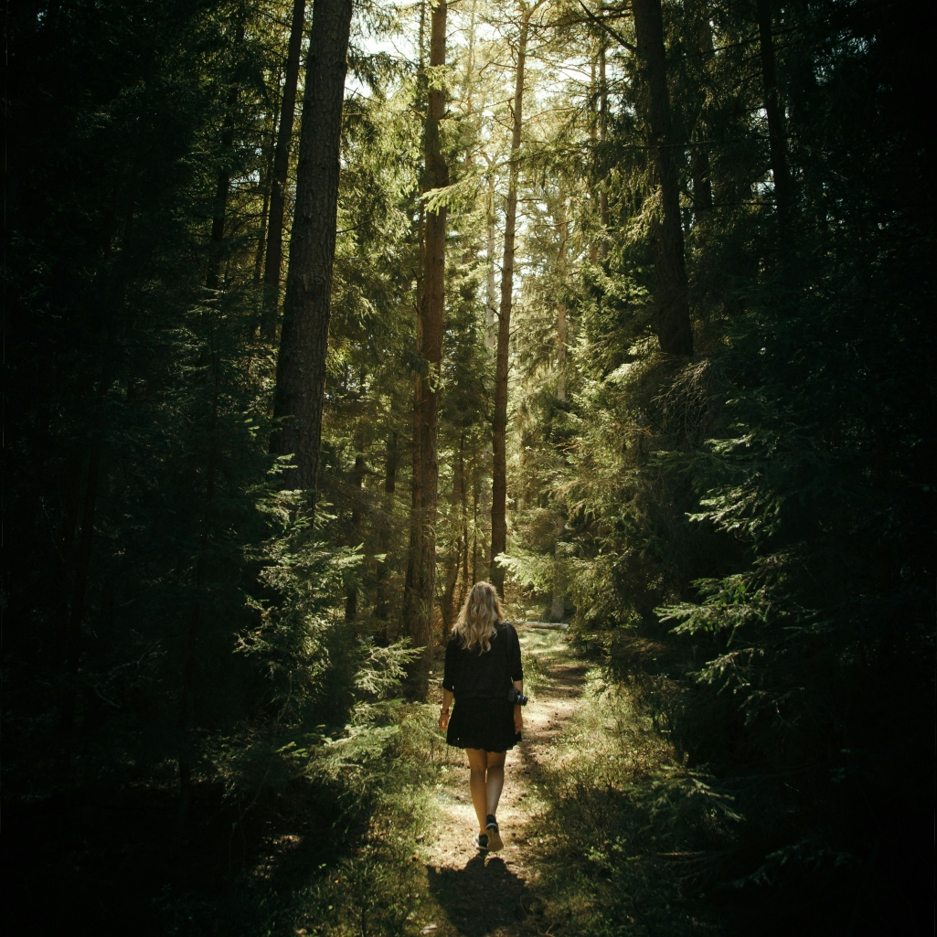 “Forest Bathing”: Η πιο απλή, αποτελεσματική και δωρεάν μέθοδος για ψυχική και σωματική υγεία