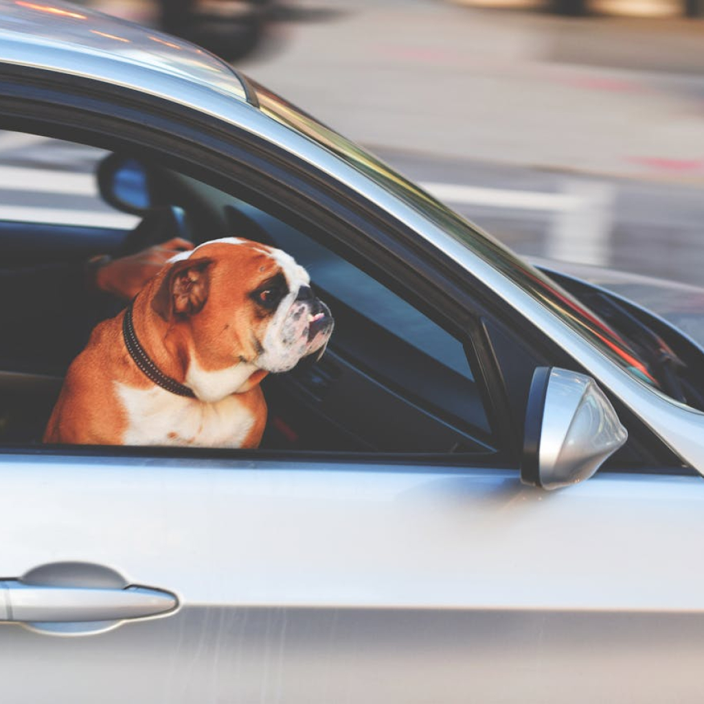 10+1 road trips στην Ευρώπη που θα σας μείνουν αξέχαστα