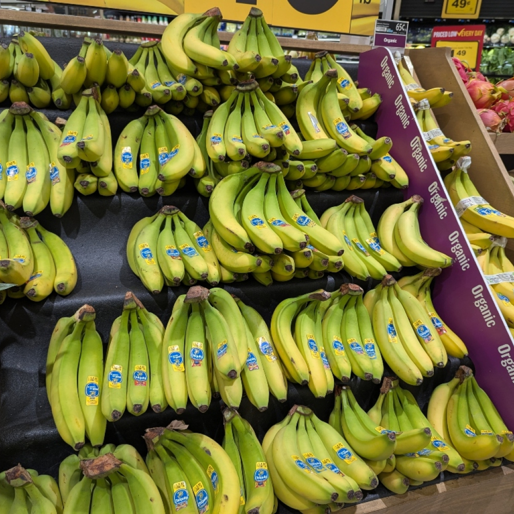 Η Chiquita απολύει 5.000 απεργούς από τις φυτείες μπανάνας στον Παναμά λόγω “αδικαιολόγητης εγκατάλειψης της δουλειάς τους”