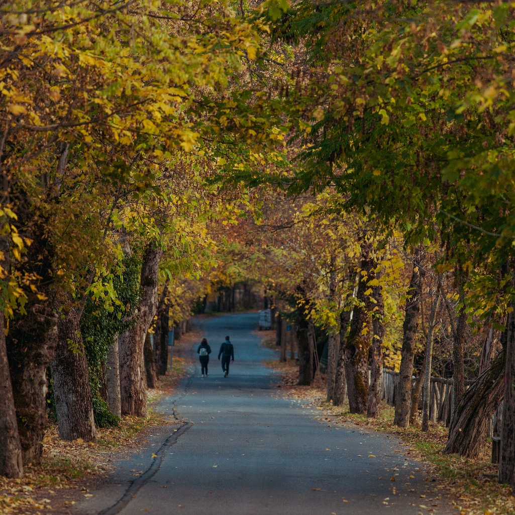 5 ελατοσκέπαστα χωριά κοντά στην Αθήνα για χριστουγεννιάτικες αποδράσεις