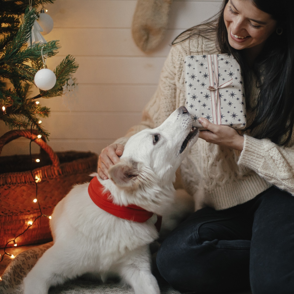 Αυτό είναι το χριστουγεννιάτικο τραγούδι που κάνει τον σκύλο σου να αγχώνεται, και ναι δεν πάει ο νους σου