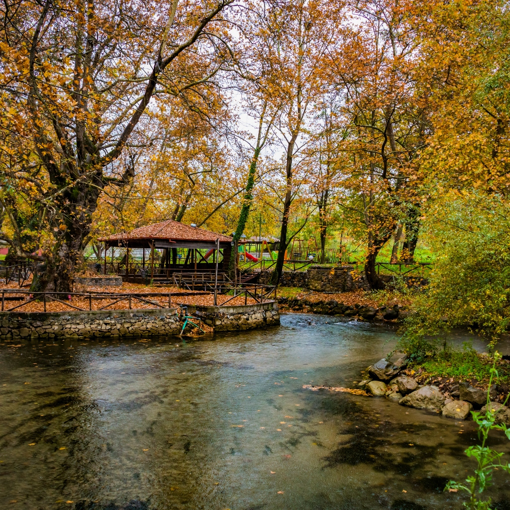 Ένα γευστικό ταξίδι στη Νάουσα