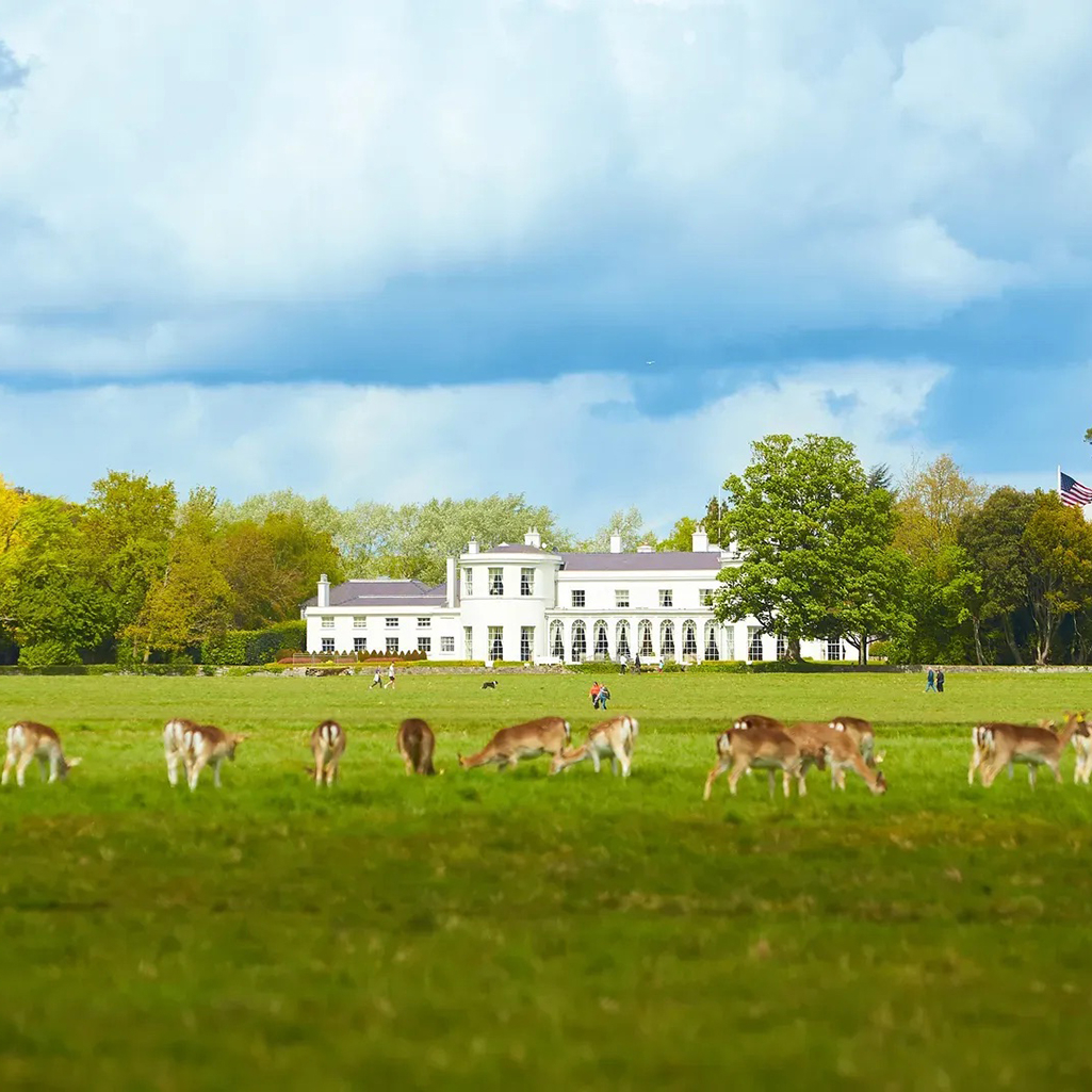 Ιρλανδία: Όλα όσα πρέπει να κάνεις αν βρεθείς στο Δουβλίνο 