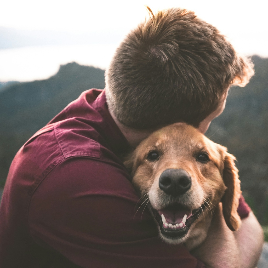 Κατοικίδια και διακοπές»: Do’s & Don’ts για να ταξιδέψεις σωστά με το pet σου
