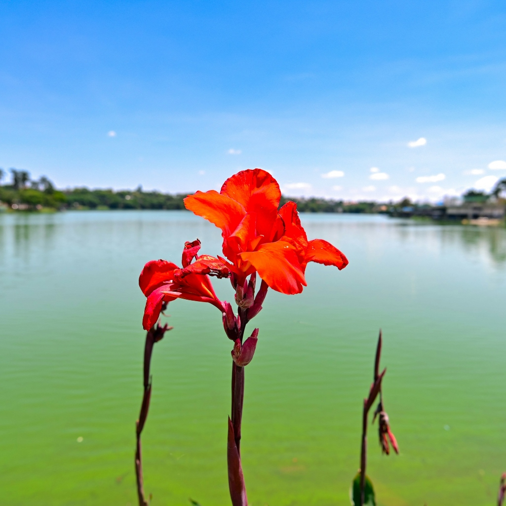 Η απίστευτη «χαμένη πόλη» που βρίσκεται στον πάτο μίας γιγάντιας λίμνης
