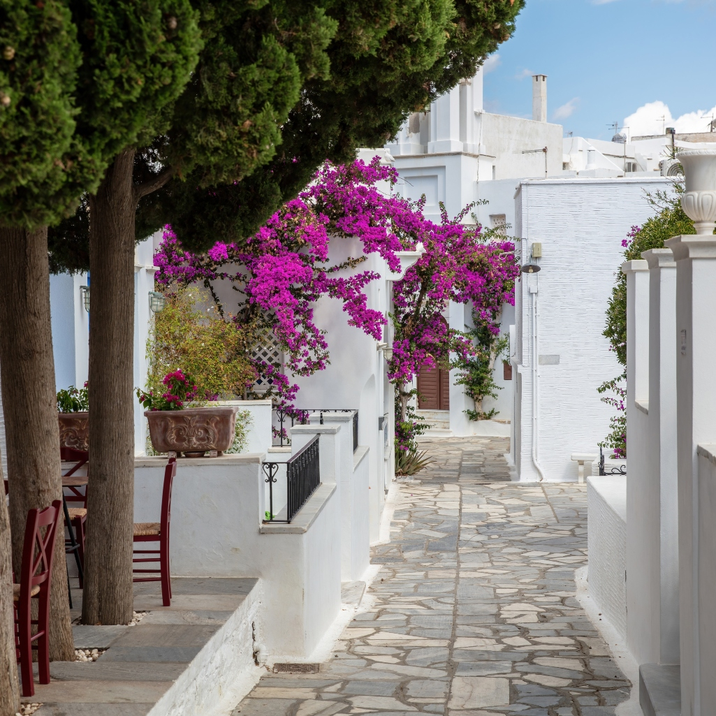 Στην Τήνο, ένα Σχολείο Δεύτερης Ευκαιρίας ανοίγει ξανά τον δρόμο της μαθησης στην ενήλικη ζωή