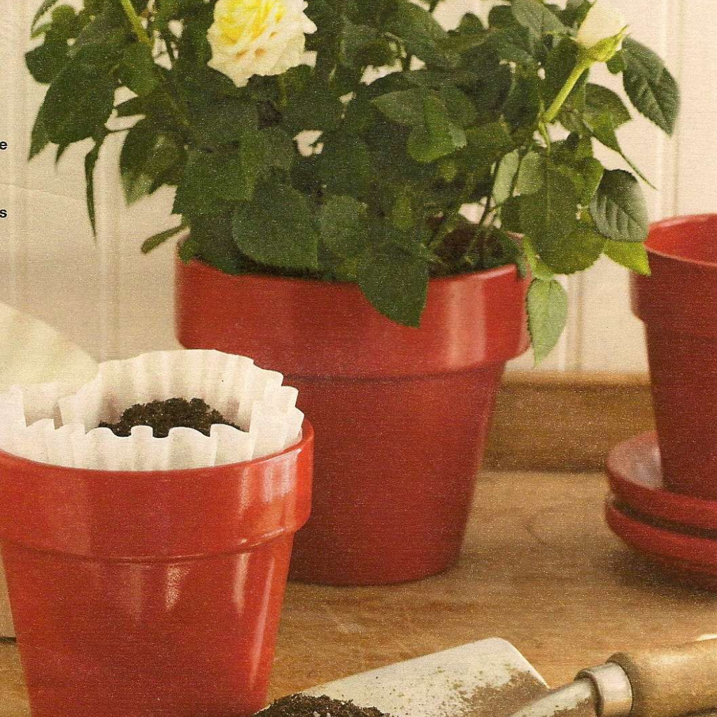 coffee-filter.jpg