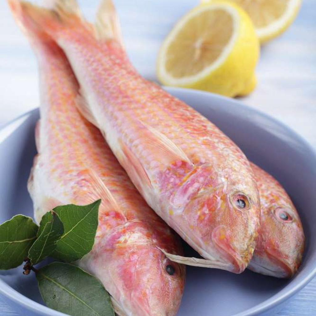 fish1.jpg