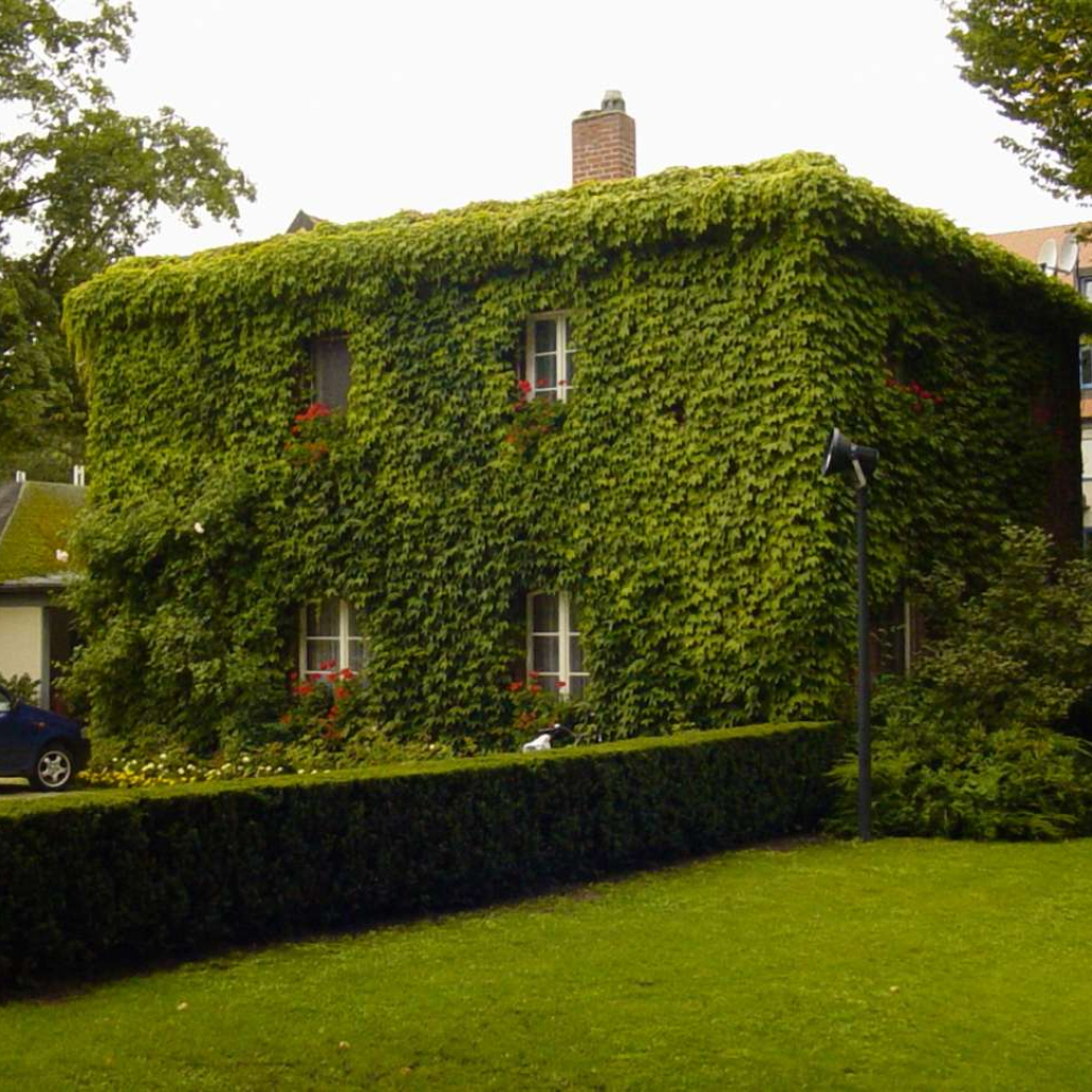 green-home.jpg