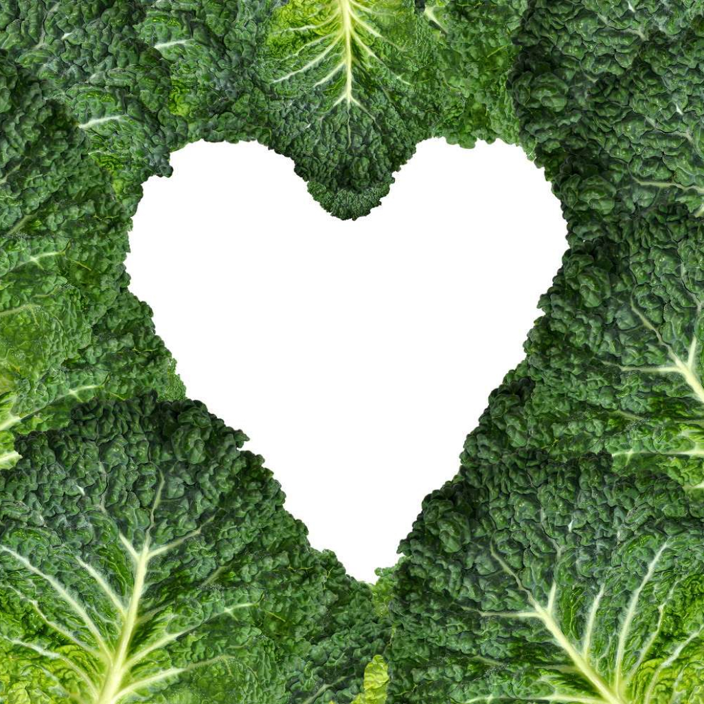 shutterstock_81342193-love-bites.jpg