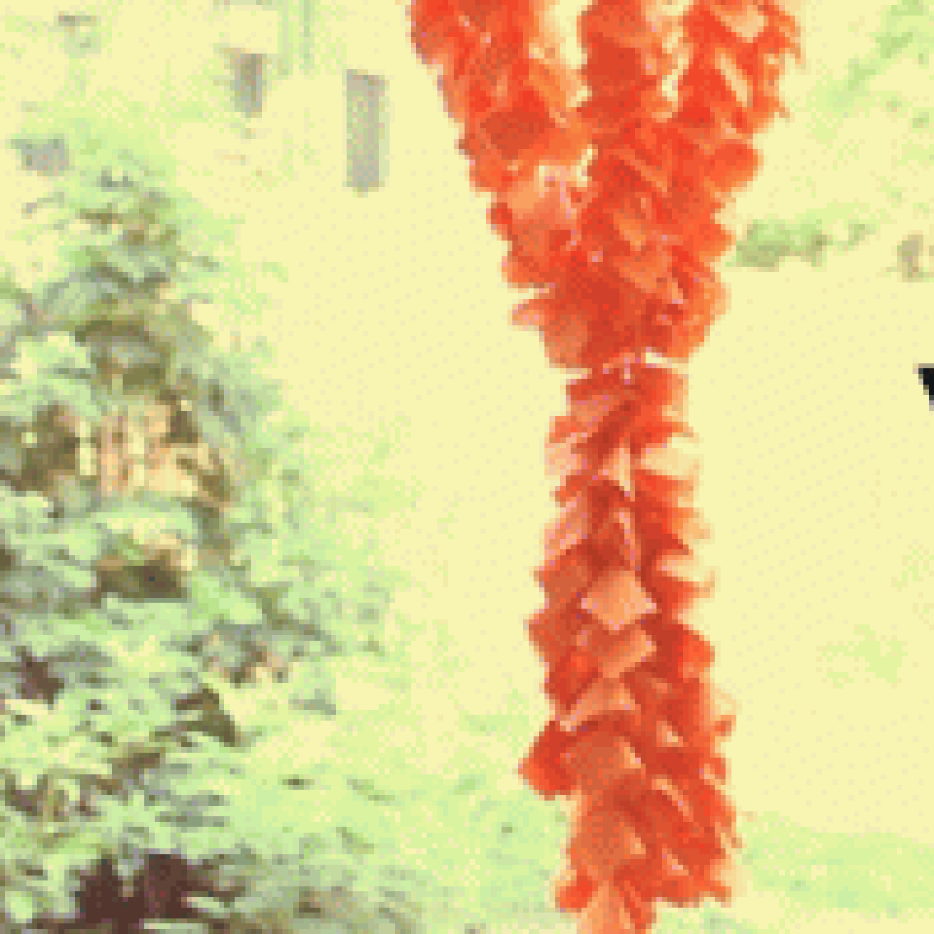Picture-7.png